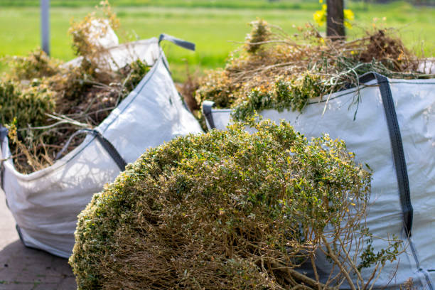 Best Electronics and E-Waste Disposal  in Guadalupe, AZ